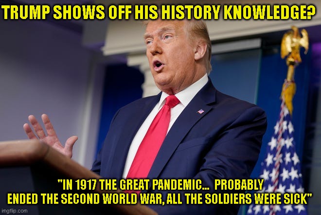 Trump shows off his knowledge of history | TRUMP SHOWS OFF HIS HISTORY KNOWLEDGE? "IN 1917 THE GREAT PANDEMIC...  PROBABLY ENDED THE SECOND WORLD WAR, ALL THE SOLDIERS WERE SICK" | image tagged in trump | made w/ Imgflip meme maker