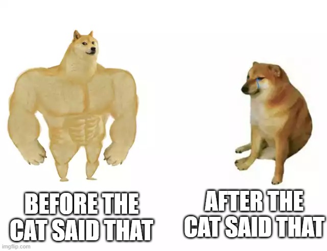 Buff Doge vs. Cheems Meme | AFTER THE CAT SAID THAT BEFORE THE CAT SAID THAT | image tagged in buff doge vs cheems | made w/ Imgflip meme maker