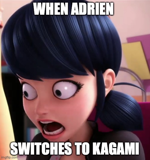 Nooo! | WHEN ADRIEN; SWITCHES TO KAGAMI | image tagged in miraculous lb marinette,miraculous ladybug,funny | made w/ Imgflip meme maker
