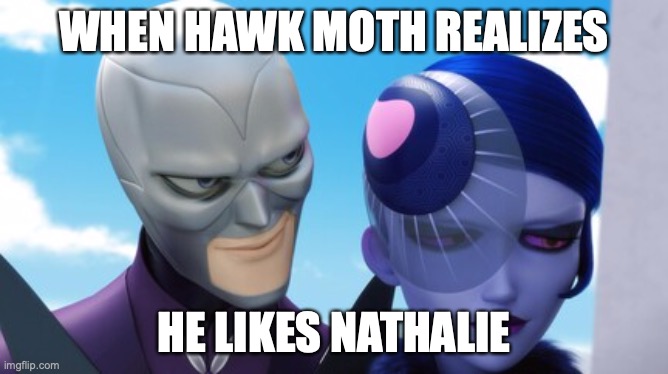 Hawk Moth's realization | WHEN HAWK MOTH REALIZES; HE LIKES NATHALIE | image tagged in miraculous ladybug,funny | made w/ Imgflip meme maker
