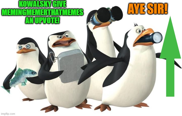 penquines | KOWALSKY GIVE MEMINGMEMERTHATMEMES AN UPVOTE! AYE SIR! | image tagged in penquines | made w/ Imgflip meme maker