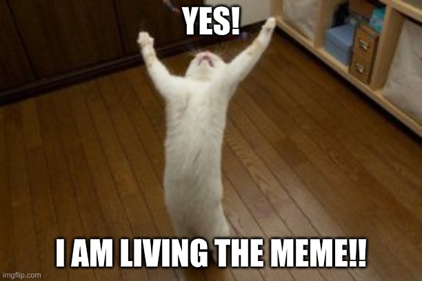 Living the Meme | YES! I AM LIVING THE MEME!! | image tagged in victory monday | made w/ Imgflip meme maker