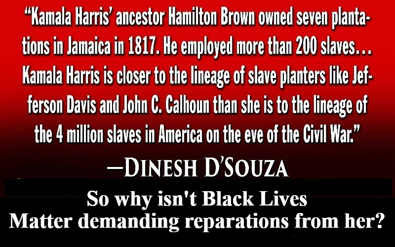 So why isn't Black Lives Matter demanding reparations from Kamala Harris? | So why isn't Black Lives Matter demanding reparations from her? | image tagged in kamala harris,black lives matter,reparations,ah yes enslaved,slavery,liberal hypocrisy | made w/ Imgflip meme maker