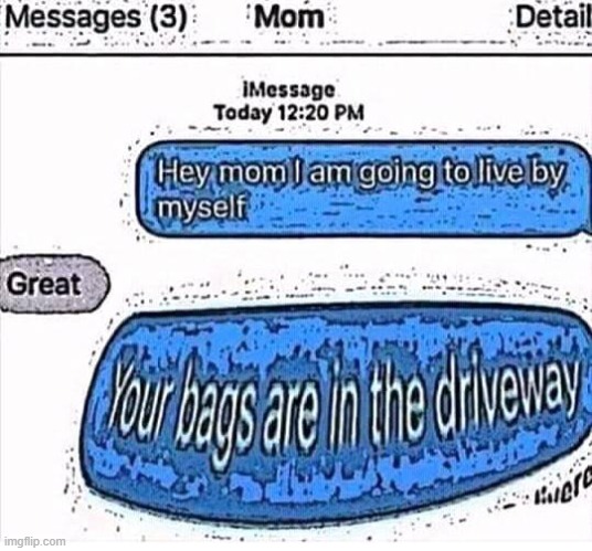 BYE BYE MOM | image tagged in funny memes | made w/ Imgflip meme maker