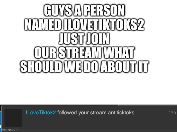 What should we do | GUYS A PERSON NAMED ILOVETIKTOKS2 JUST JOIN OUR STREAM WHAT SHOULD WE DO ABOUT IT | image tagged in blank white template | made w/ Imgflip meme maker