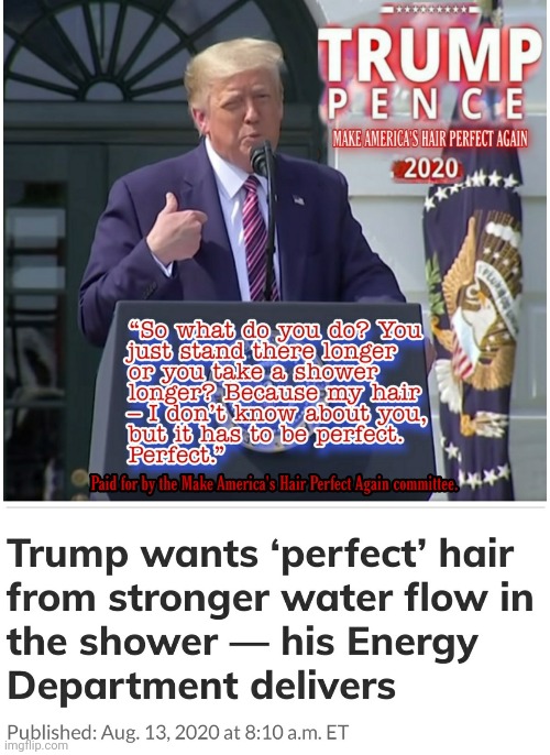 Perfect Hair for the Perfect President | image tagged in trump,perfect,hair,shower,suds,stand there | made w/ Imgflip meme maker
