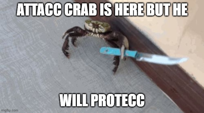 Knife wielding crab | ATTACC CRAB IS HERE BUT HE; WILL PROTECC | image tagged in knife wielding crab | made w/ Imgflip meme maker