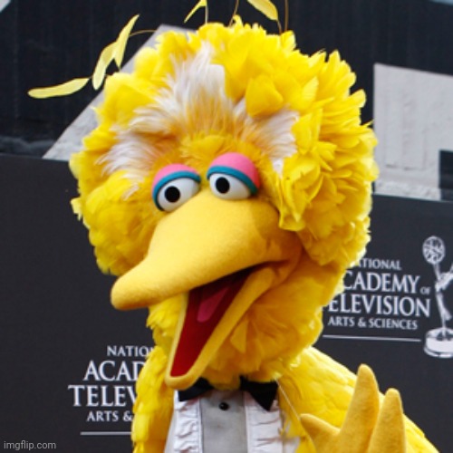 Big Bird Meme | image tagged in memes,big bird | made w/ Imgflip meme maker