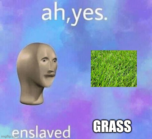 Ah Yes enslaved | GRASS | image tagged in ah yes enslaved | made w/ Imgflip meme maker