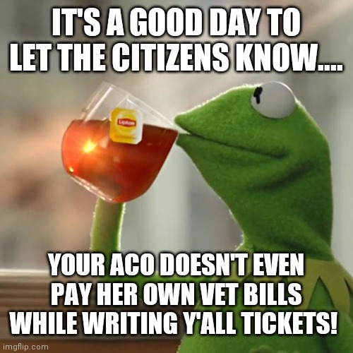 But That's None Of My Business Meme | IT'S A GOOD DAY TO LET THE CITIZENS KNOW.... YOUR ACO DOESN'T EVEN PAY HER OWN VET BILLS WHILE WRITING Y'ALL TICKETS! | image tagged in memes,but that's none of my business,kermit the frog | made w/ Imgflip meme maker