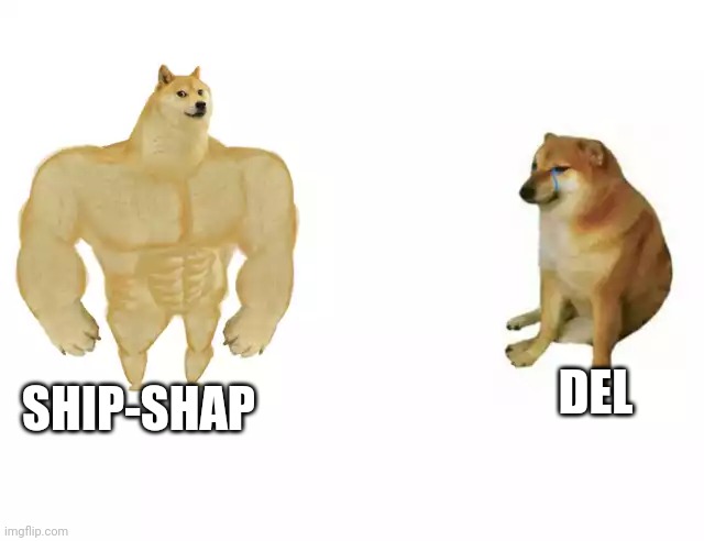 Buff Doge vs. Cheems Meme | DEL SHIP-SHAP | image tagged in buff doge vs cheems | made w/ Imgflip meme maker