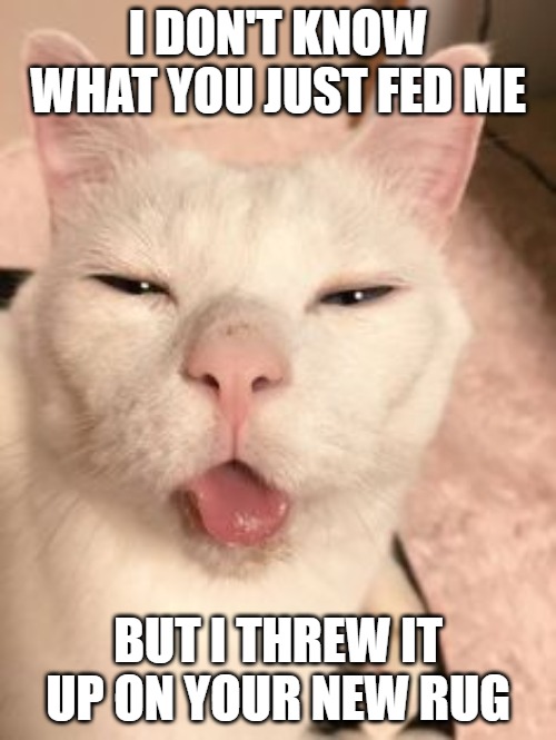 It's what cat's do | I DON'T KNOW WHAT YOU JUST FED ME; BUT I THREW IT UP ON YOUR NEW RUG | image tagged in cats,memes,fun,funny,not on the rug,2020 | made w/ Imgflip meme maker