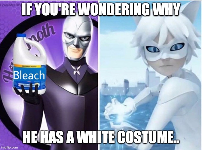 Bleach the Cat | IF YOU'RE WONDERING WHY; HE HAS A WHITE COSTUME.. | image tagged in miraculous ladybug,funny | made w/ Imgflip meme maker