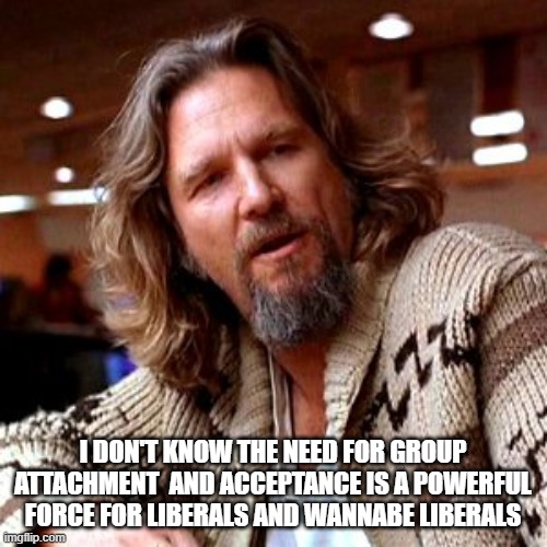 Confused Lebowski Meme | I DON'T KNOW THE NEED FOR GROUP ATTACHMENT  AND ACCEPTANCE IS A POWERFUL FORCE FOR LIBERALS AND WANNABE LIBERALS | image tagged in memes,confused lebowski | made w/ Imgflip meme maker