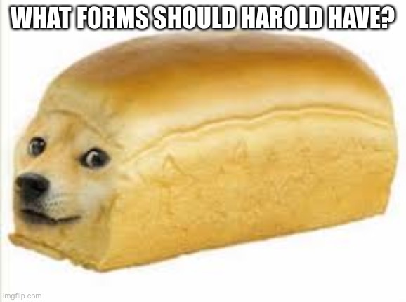 Doge bread | WHAT FORMS SHOULD HAROLD HAVE? | image tagged in doge bread | made w/ Imgflip meme maker