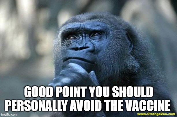 Deep Thoughts | GOOD POINT YOU SHOULD PERSONALLY AVOID THE VACCINE | image tagged in deep thoughts | made w/ Imgflip meme maker