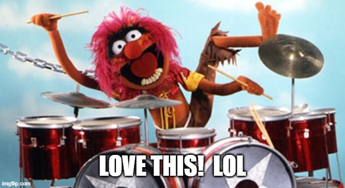 drummer | LOVE THIS!  LOL | image tagged in drummer | made w/ Imgflip meme maker