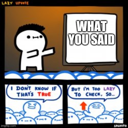 Lazy Update | WHAT YOU SAID | image tagged in lazy update | made w/ Imgflip meme maker