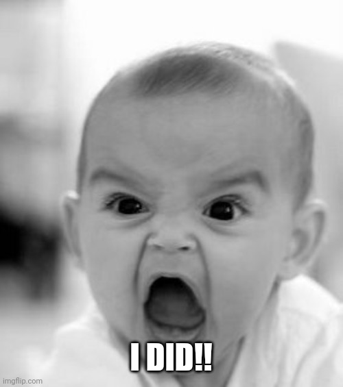 Angry Baby Meme | I DID!! | image tagged in memes,angry baby | made w/ Imgflip meme maker