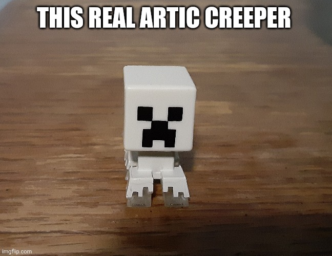 THIS REAL ARTIC CREEPER | image tagged in artic creeper | made w/ Imgflip meme maker