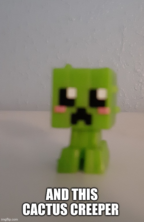 AND THIS CACTUS CREEPER | image tagged in cactus creeper | made w/ Imgflip meme maker