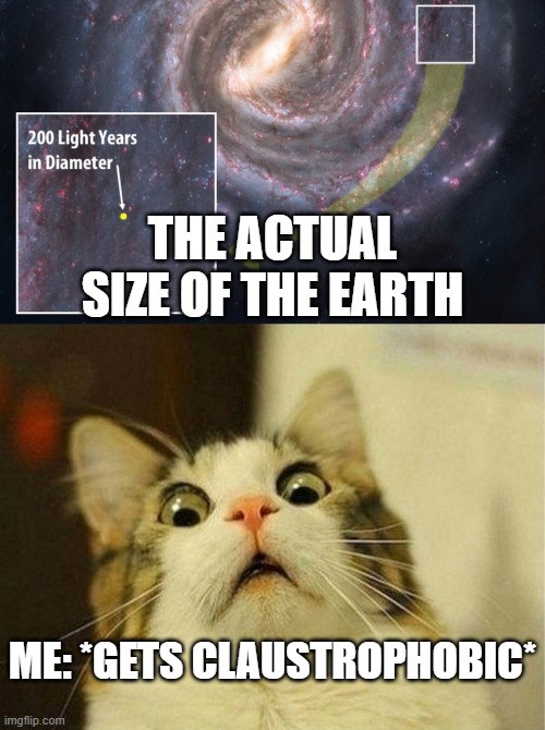 THE ACTUAL SIZE OF THE EARTH; ME: *GETS CLAUSTROPHOBIC* | image tagged in memes,scared cat,space,earth | made w/ Imgflip meme maker