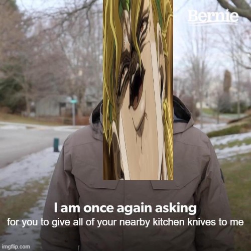 WRYYYYYYYYY | for you to give all of your nearby kitchen knives to me | image tagged in memes,bernie i am once again asking for your support,but it was me dio | made w/ Imgflip meme maker