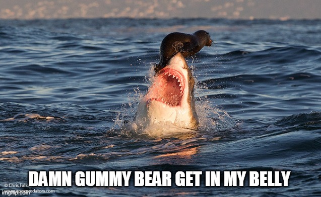 Shark, Gummy Bear | DAMN GUMMY BEAR GET IN MY BELLY | image tagged in shark | made w/ Imgflip meme maker