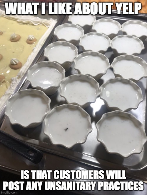 Fly in Pudding | WHAT I LIKE ABOUT YELP; IS THAT CUSTOMERS WILL POST ANY UNSANITARY PRACTICES | image tagged in memes,restaurant,buffet,pudding,yelp | made w/ Imgflip meme maker