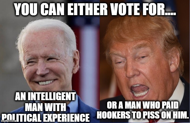 Election 2020 | YOU CAN EITHER VOTE FOR.... AN INTELLIGENT MAN WITH POLITICAL EXPERIENCE; OR A MAN WHO PAID HOOKERS TO PISS ON HIM. | image tagged in donald trump,joe biden,election 2020,piss,hookers,choice | made w/ Imgflip meme maker