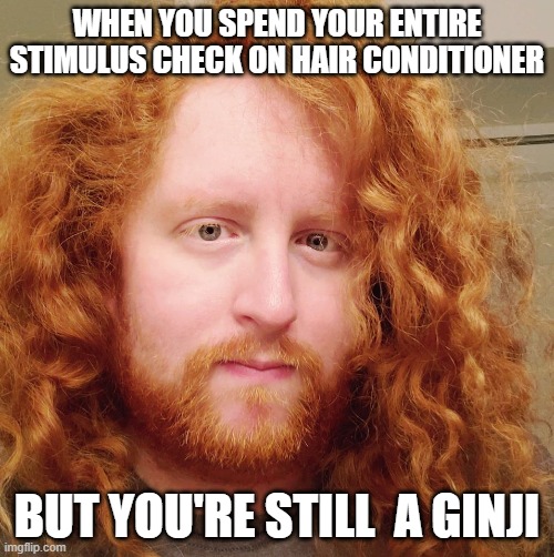 WHEN YOU SPEND YOUR ENTIRE STIMULUS CHECK ON HAIR CONDITIONER; BUT YOU'RE STILL  A GINJI | image tagged in funny,ginger | made w/ Imgflip meme maker