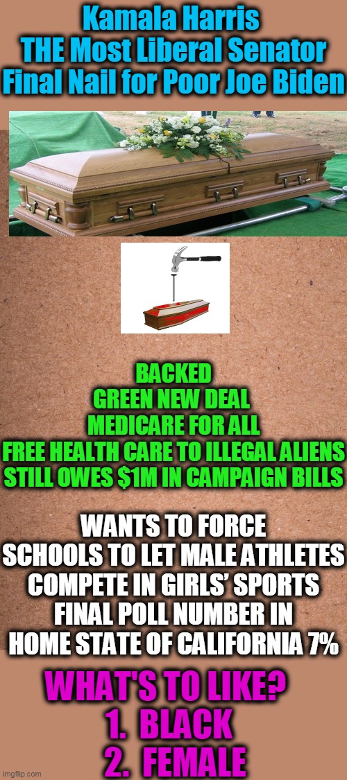 The Struggle Is Real, Joe, And Only Illegals Want Either Of You | Kamala Harris 
THE Most Liberal Senator

Final Nail for Poor Joe Biden; BACKED GREEN NEW DEAL 

MEDICARE FOR ALL

FREE HEALTH CARE TO ILLEGAL ALIENS
STILL OWES $1M IN CAMPAIGN BILLS; WANTS TO FORCE SCHOOLS TO LET MALE ATHLETES COMPETE IN GIRLS’ SPORTS
FINAL POLL NUMBER IN HOME STATE OF CALIFORNIA 7%; WHAT'S TO LIKE?     
1.  BLACK  
2.  FEMALE | image tagged in politics,political meme,joe biden,kamala harris,democratic socialism,end of the democrats | made w/ Imgflip meme maker