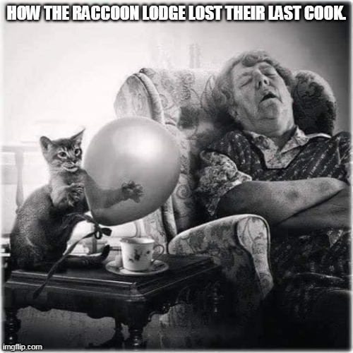 Raccoon Lodge | HOW THE RACCOON LODGE LOST THEIR LAST COOK. | image tagged in evil plotting raccoon | made w/ Imgflip meme maker