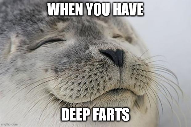 No Pressure, Feels Good Man | WHEN YOU HAVE; DEEP FARTS | image tagged in memes,satisfied seal,feels good man,farts | made w/ Imgflip meme maker