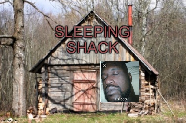 Sleeping shack | SLEEPING SHACK | image tagged in sleeping shack,memes | made w/ Imgflip meme maker