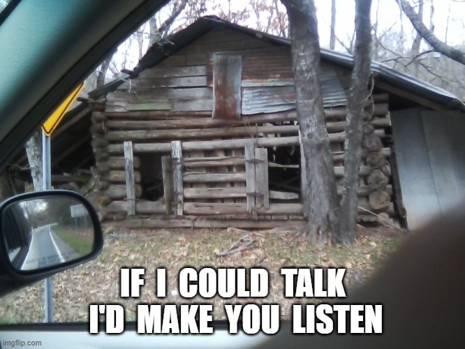 if I could talk | IF  I  COULD  TALK  I'D  MAKE  YOU  LISTEN | image tagged in words of wisdom | made w/ Imgflip meme maker