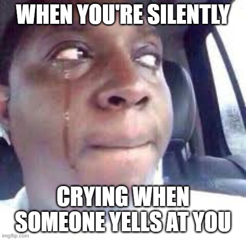 Crying Silently | WHEN YOU'RE SILENTLY; CRYING WHEN SOMEONE YELLS AT YOU | image tagged in crying,funny,meme,kid friendly | made w/ Imgflip meme maker