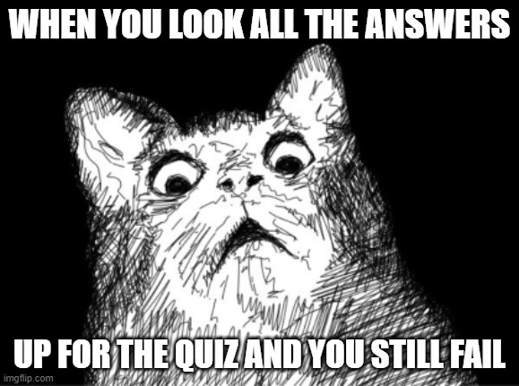WHY THE INTERNET GOTTA BE DOING ME LIKE THAT FOR??!! | WHEN YOU LOOK ALL THE ANSWERS; UP FOR THE QUIZ AND YOU STILL FAIL | image tagged in funny,memes,relatable,new memes,relatable memes,school memes | made w/ Imgflip meme maker