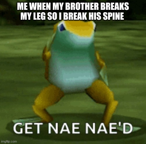 ME WHEN MY BROTHER BREAKS MY LEG SO I BREAK HIS SPINE | image tagged in first | made w/ Imgflip meme maker