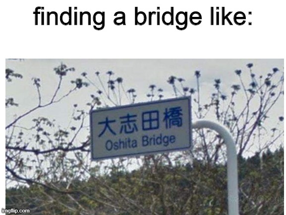 oshita bridge | finding a bridge like: | image tagged in memes | made w/ Imgflip meme maker