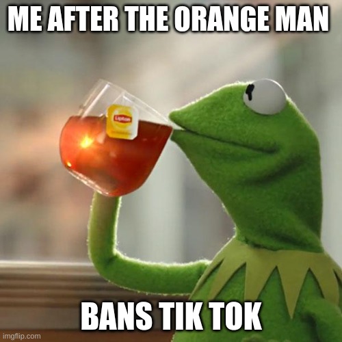 tik tok | ME AFTER THE ORANGE MAN; BANS TIK TOK | image tagged in memes,but that's none of my business,kermit the frog | made w/ Imgflip meme maker