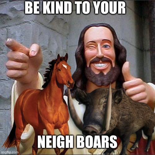 Misheard Commandments | BE KIND TO YOUR; NEIGH BOARS | image tagged in memes,jesus christ,horse,boar | made w/ Imgflip meme maker