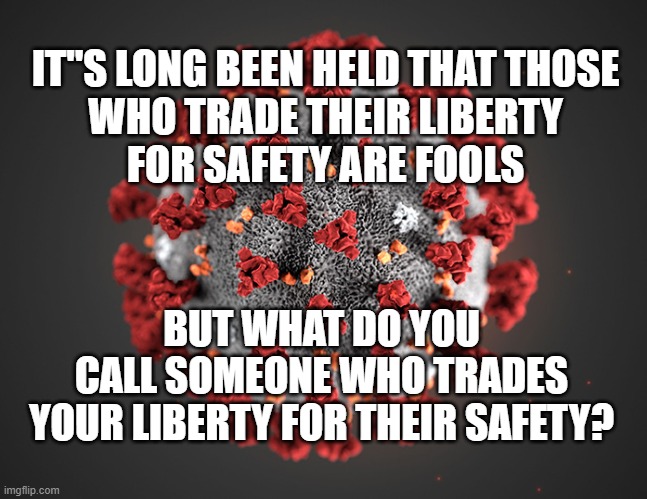 My Liberty vs Your Safety | IT"S LONG BEEN HELD THAT THOSE
WHO TRADE THEIR LIBERTY
FOR SAFETY ARE FOOLS; BUT WHAT DO YOU
CALL SOMEONE WHO TRADES
YOUR LIBERTY FOR THEIR SAFETY? | image tagged in coronavirus,covid19,liberty,safety,despotism,selfish | made w/ Imgflip meme maker