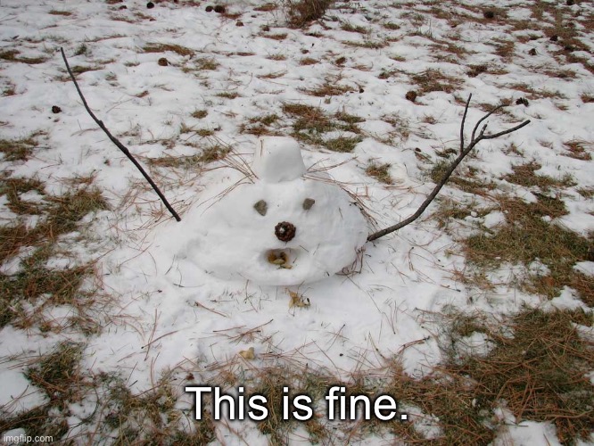 Melted Snowman | This is fine. | image tagged in melted snowman | made w/ Imgflip meme maker