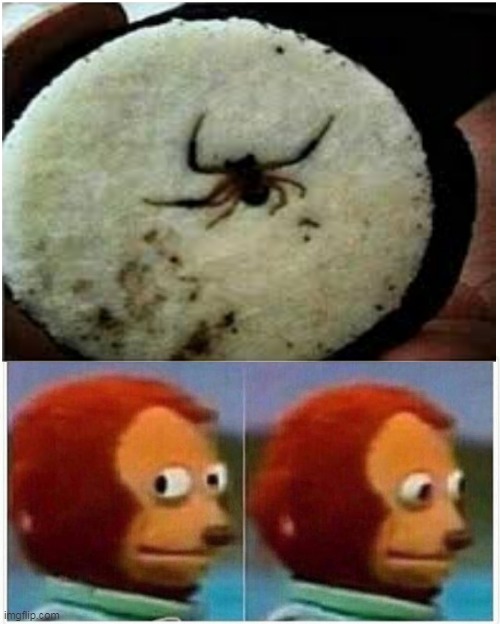 i didn't know oreo had an extra crunch flavor | image tagged in memes,monkey puppet,spider | made w/ Imgflip meme maker