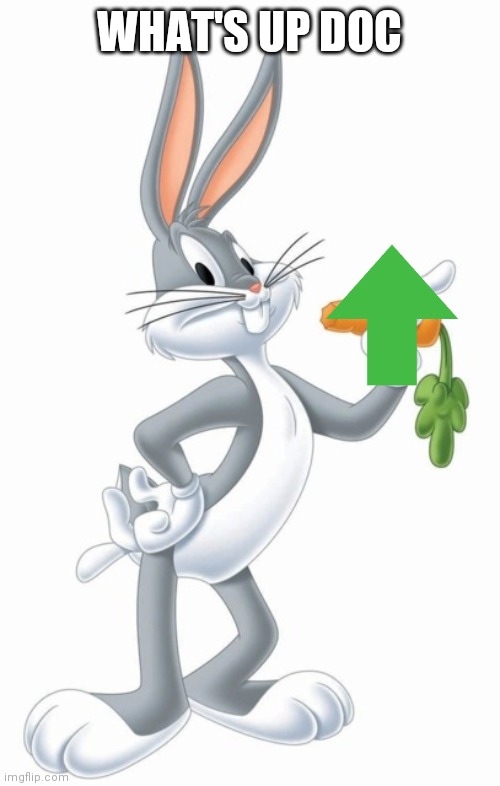 What's up doc?  | WHAT'S UP DOC | image tagged in what's up doc | made w/ Imgflip meme maker