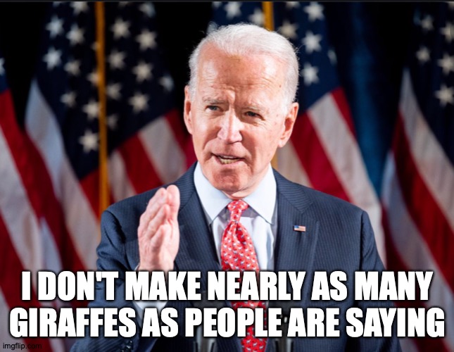 Joe Joe's Bizarre Adventure | I DON'T MAKE NEARLY AS MANY GIRAFFES AS PEOPLE ARE SAYING | image tagged in memes,joe biden,it's time to stop,unfunny | made w/ Imgflip meme maker