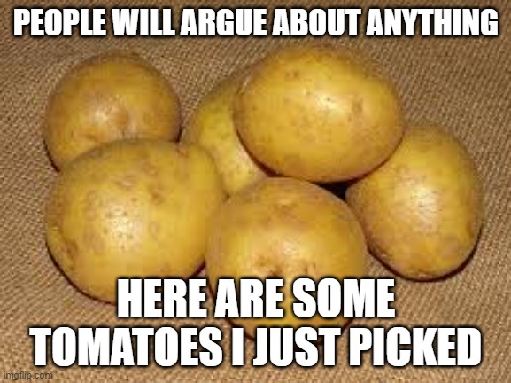 Taters or Maters | PEOPLE WILL ARGUE ABOUT ANYTHING; HERE ARE SOME TOMATOES I JUST PICKED | image tagged in white potatoes,taters,maters,tomatoes,fresh veggies,veg | made w/ Imgflip meme maker
