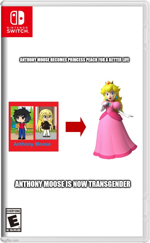 Nintendo Switch | ANTHONY MOOSE BECOMES PRINCESS PEACH FOR A BETTER LIFE; ANTHONY MOOSE IS NOW TRANSGENDER | image tagged in nintendo switch | made w/ Imgflip meme maker