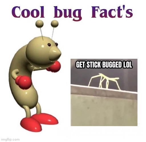 Cool Bug Facts | image tagged in cool bug facts | made w/ Imgflip meme maker